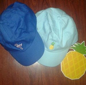 2 Adult Baseball Caps